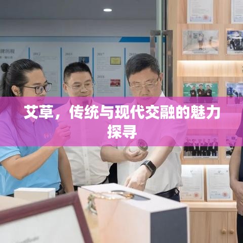 艾草，传统与现代交融的魅力探寻