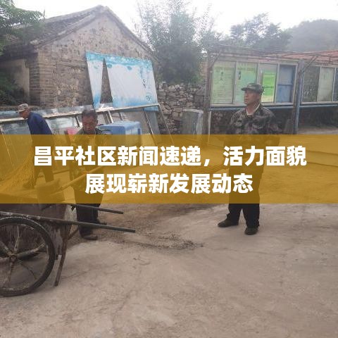 昌平社区新闻速递，活力面貌展现崭新发展动态