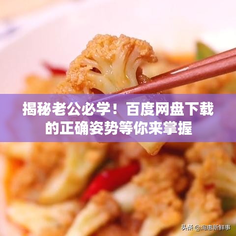 揭秘老公必学！百度网盘下载的正确姿势等你来掌握