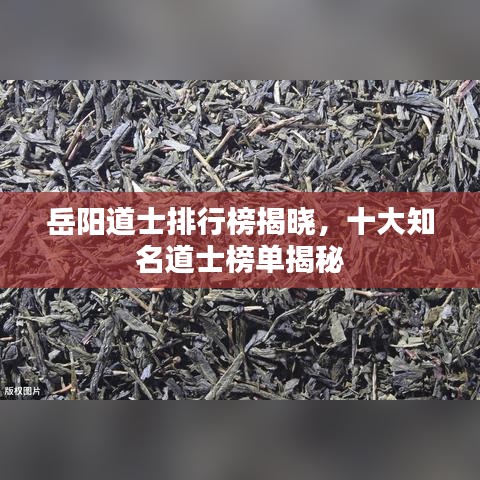 岳阳道士排行榜揭晓，十大知名道士榜单揭秘