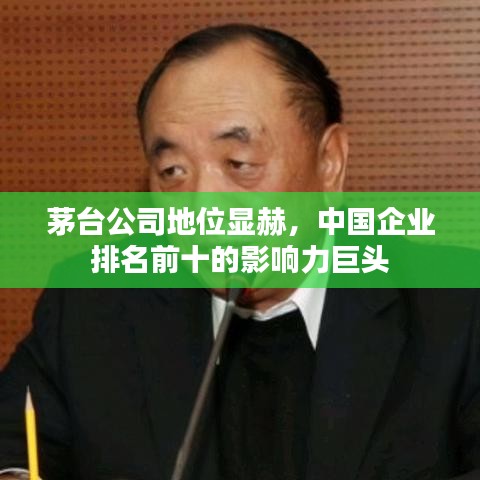 笨鸟先飞