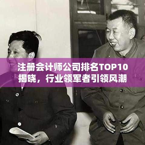 注册会计师公司排名TOP10揭晓，行业领军者引领风潮