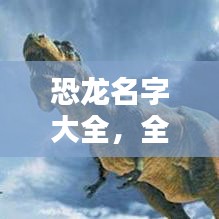 花样新翻