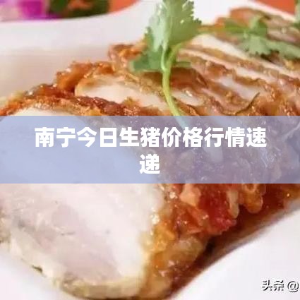 不求甚解