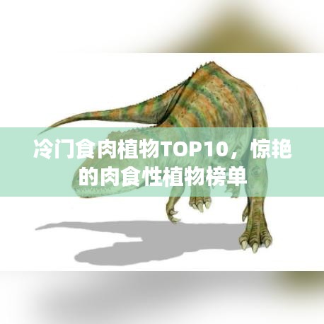 2025年4月 第11页