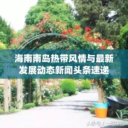 荣华富贵