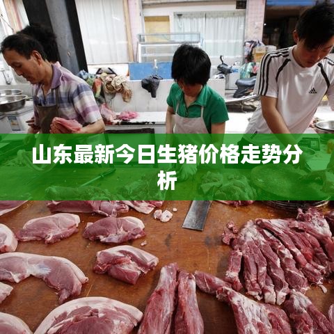2025年4月 第6页