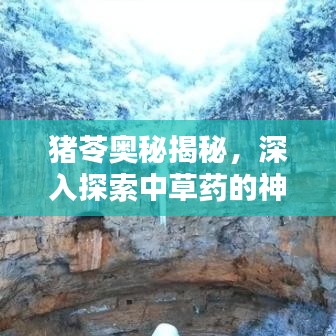 普度众生