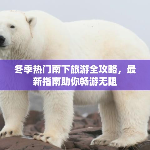 拾金不昧