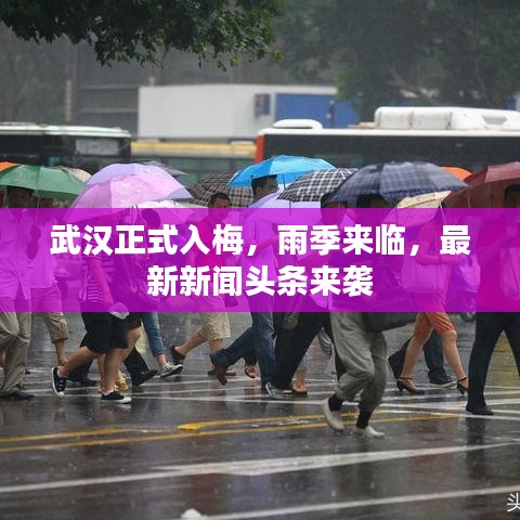 仙姿佚貌