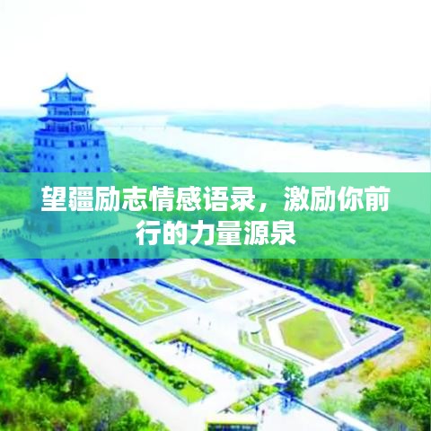 衣不兼采