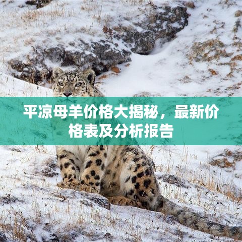 平凉母羊价格大揭秘，最新价格表及分析报告