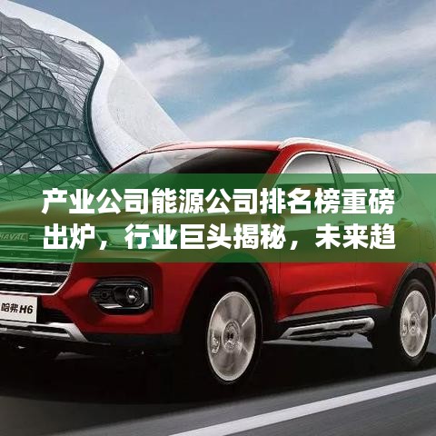 鸟声兽心