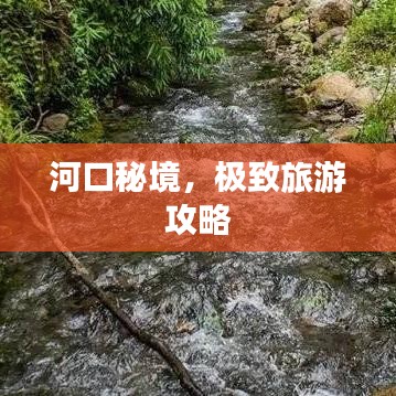 管窥蛙见