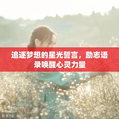 追逐梦想的星光誓言，励志语录唤醒心灵力量