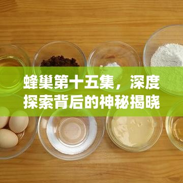 蜂巢第十五集，深度探索背后的神秘揭晓之旅