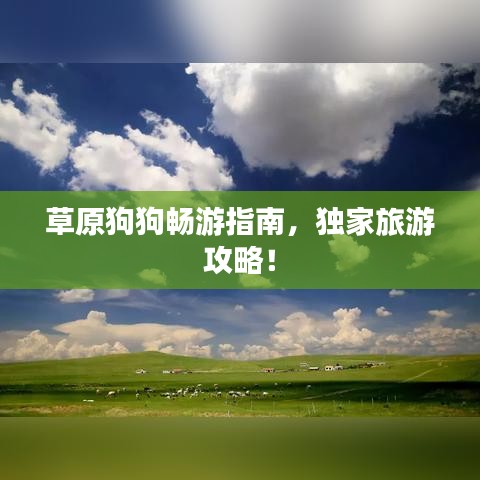 关于我们 第7页