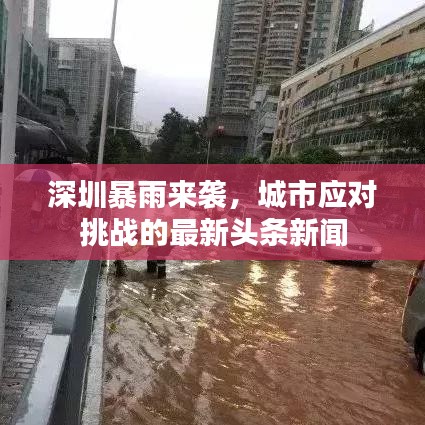深圳暴雨来袭，城市应对挑战的最新头条新闻