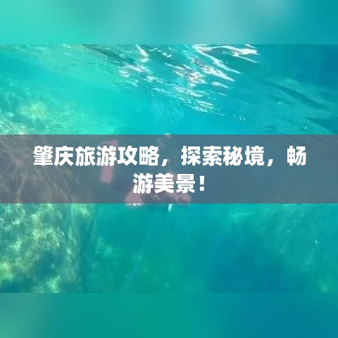 肇庆旅游攻略，探索秘境，畅游美景！