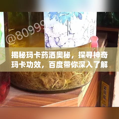揭秘玛卡药洒奥秘，探寻神奇玛卡功效，百度带你深入了解