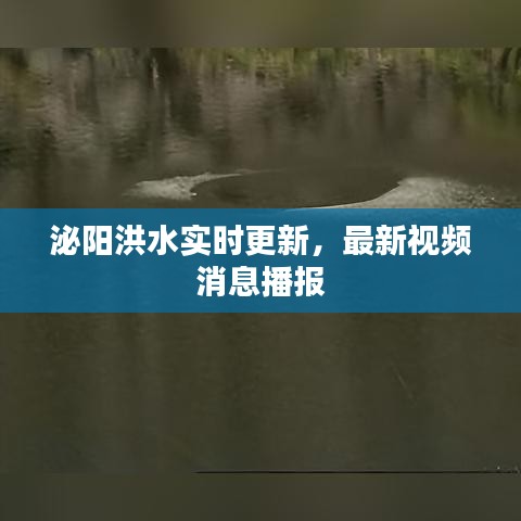 泌阳洪水实时更新，最新视频消息播报
