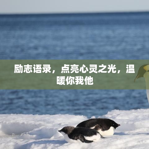 案例展示 第27页
