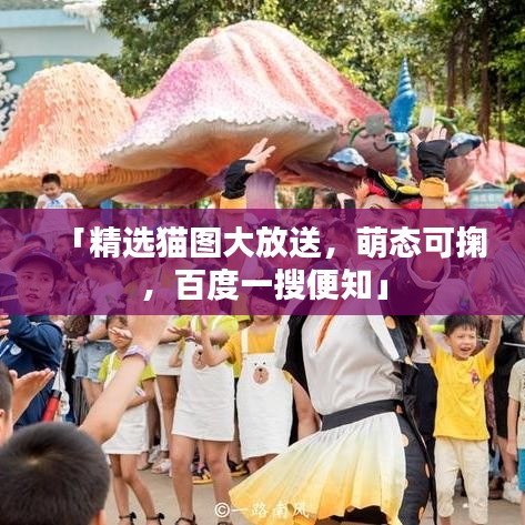 「精选猫图大放送，萌态可掬，百度一搜便知」