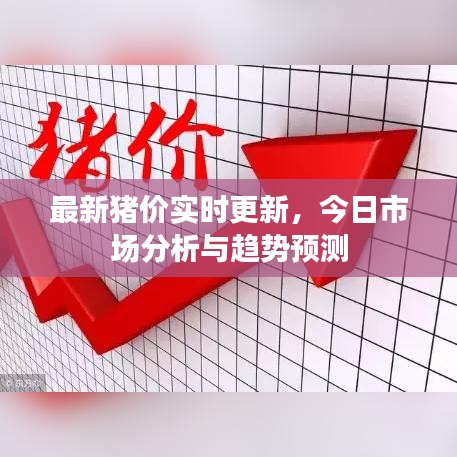 最新猪价实时更新，今日市场分析与趋势预测