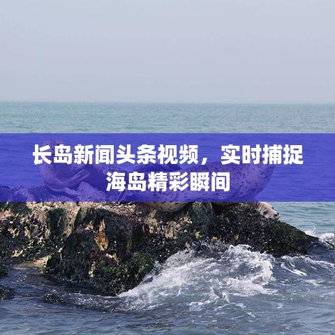 长岛新闻头条视频，实时捕捉海岛精彩瞬间