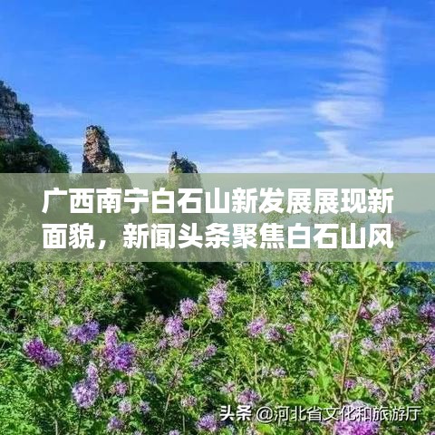 广西南宁白石山新发展展现新面貌，新闻头条聚焦白石山风采