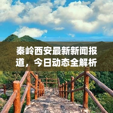 秦岭西安最新新闻报道，今日动态全解析