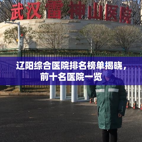 辽阳综合医院排名榜单揭晓，前十名医院一览