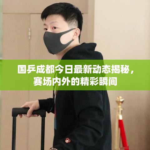 国乒成都今日最新动态揭秘，赛场内外的精彩瞬间