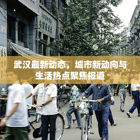 武汉最新动态，城市新动向与生活热点聚焦报道