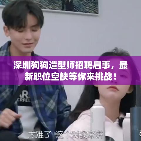 深圳狗狗造型师招聘启事，最新职位空缺等你来挑战！