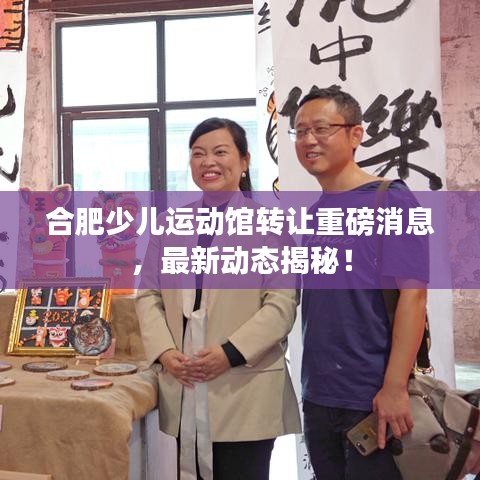 合肥少儿运动馆转让重磅消息，最新动态揭秘！