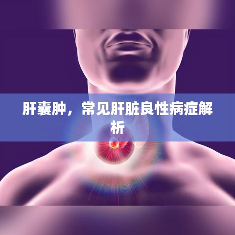 肝囊肿，常见肝脏良性病症解析