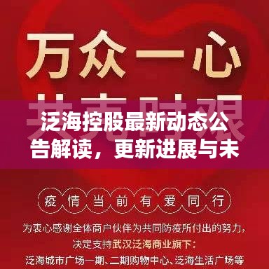 泛海控股最新动态公告解读，更新进展与未来前景展望