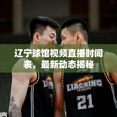 辽宁球馆视频直播时间表，最新动态揭秘