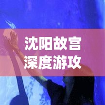 沈阳故宫深度游攻略，重庆出发，探寻历史与文化的交汇之旅