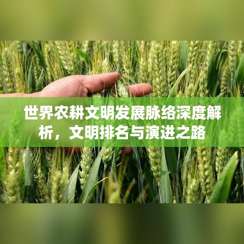 世界农耕文明发展脉络深度解析，文明排名与演进之路
