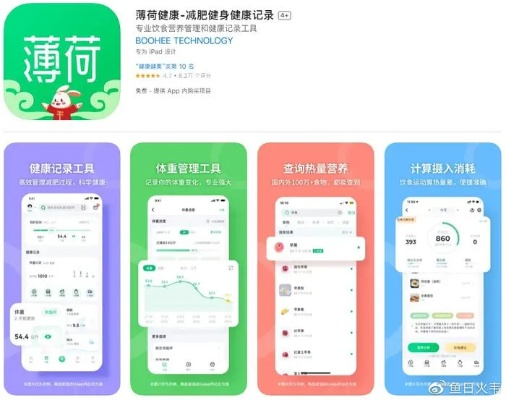 2026年1月4日 第8页