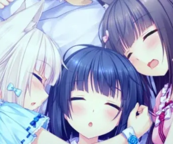 艹猫 版本及nabu 下载官方,高效性实施计划解析-P版_v10.690