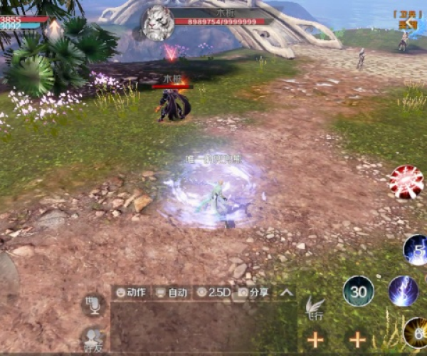 完美世界手游羽芒与小米枪战激活码使用,实践分析解释定义|安卓版_v3.525