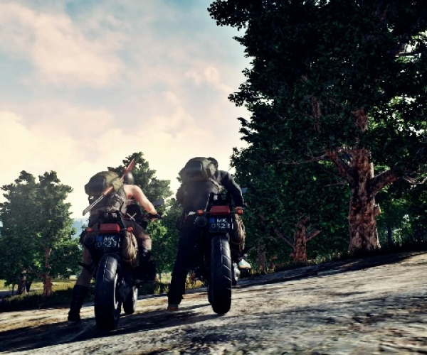 逝去的辉煌，经典软件的兴衰与回忆——以王者至尊手游及绝地求生为例